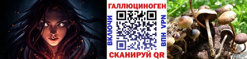 наркота  Курганинск  Псилоцибиновые грибы Psilocybe 